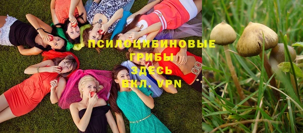 стафф Пролетарск