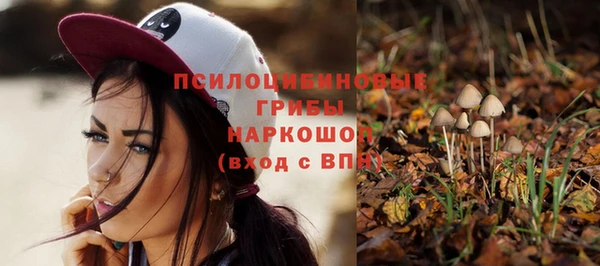 бутират Покачи