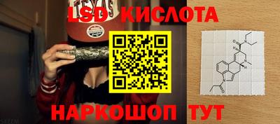 стафф Донской