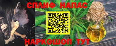 стафф Донской