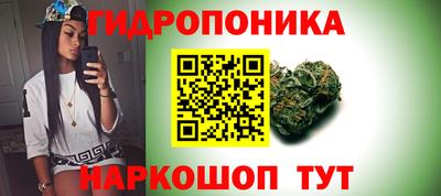 стафф Донской