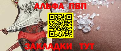 стафф Донской