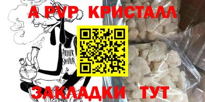 стафф Донской
