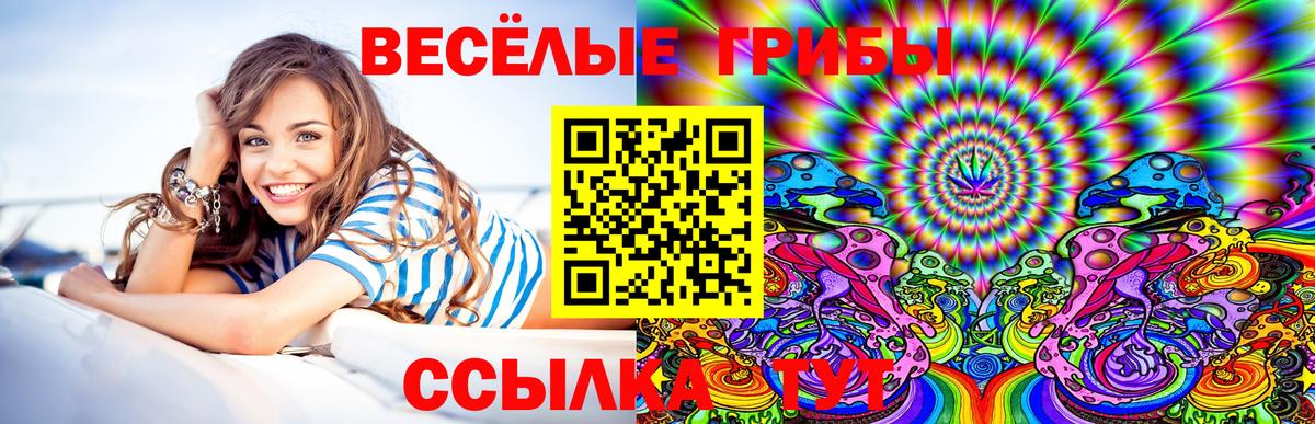 Галлюциногенные грибы Psilocybine cubensis  купить наркотики цена  Вход с VPN  Саянск  Галлюциногенные грибы ЛСД 
